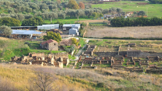 vista degli scavi dall'acropoli